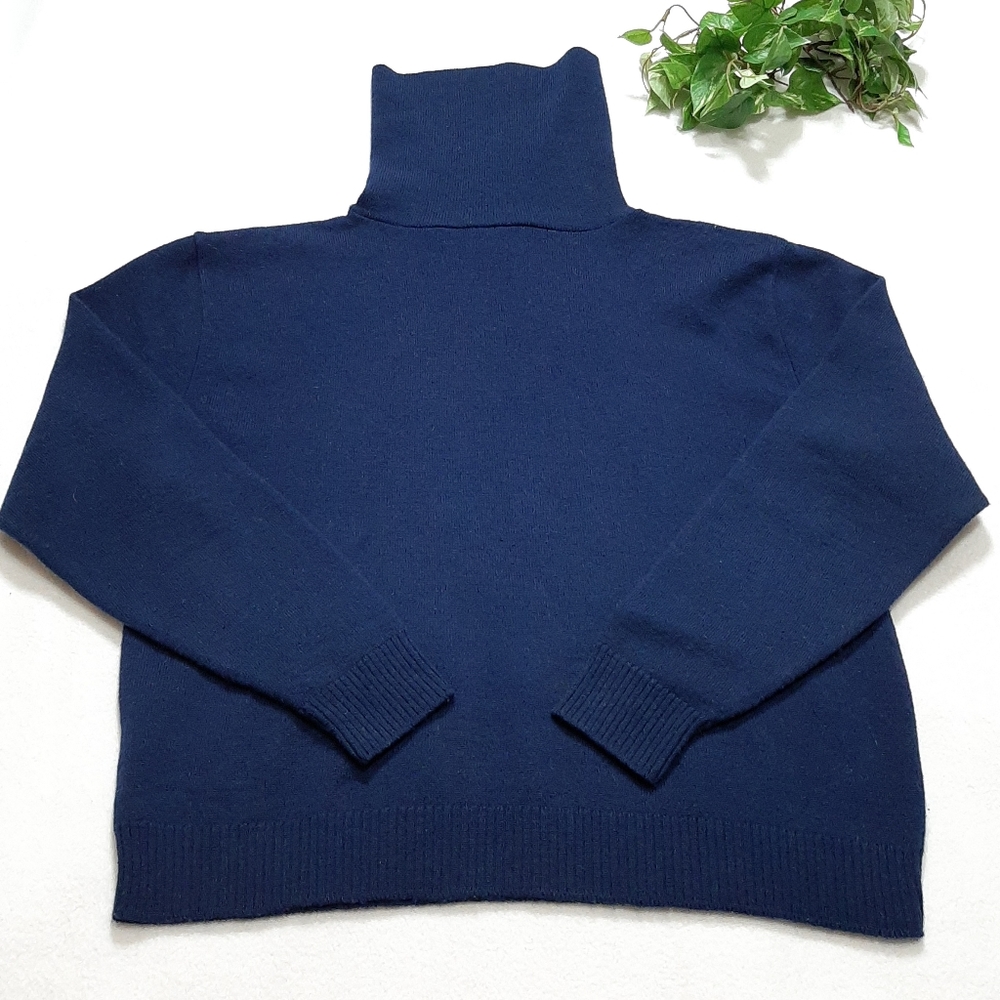 Pendleton Turtleneck Long Sleeve Virgin Wool Top L